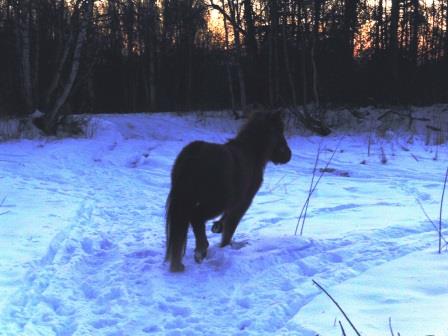 Tyra owning her movement